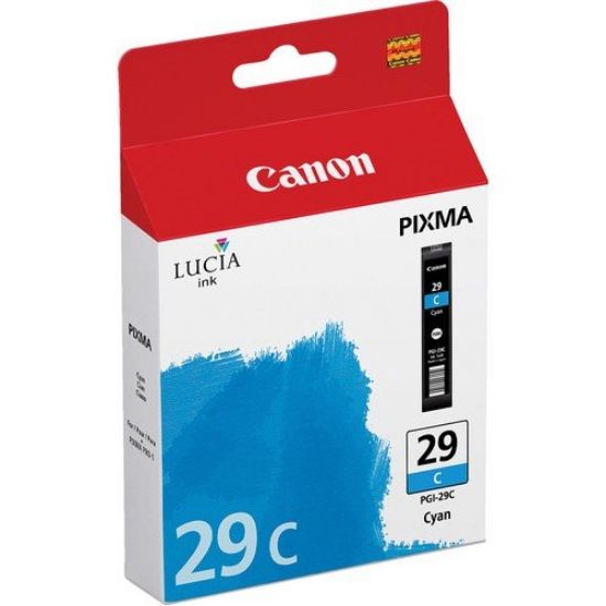 CANON 4873B001 PGI-29C MAVI MUR KART