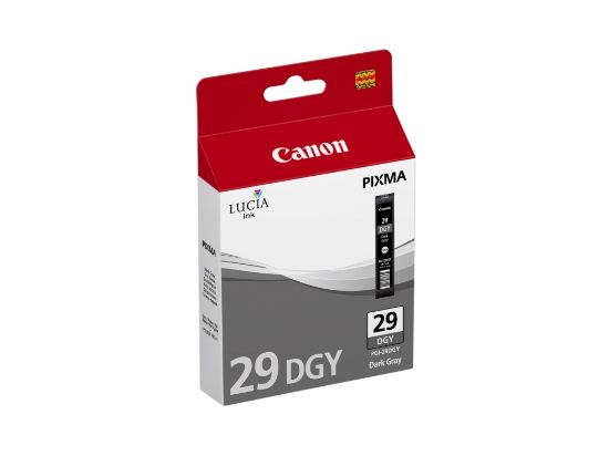 CANON 4870B001 PGI-29DGY K.GRI MUR KART