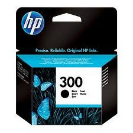 HP CC640EE (300) SIYAH KARTUS