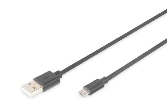Assmann AK-300110-030-S