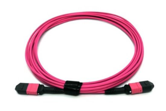 BEEK BC-FO-5MPMPb-30/4-FF