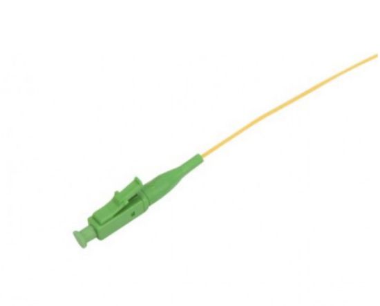 BEEK BC-FO-PT9LCA-01